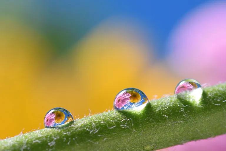 Vikan håndsvaber 25cm hygienisk m/miniskaft